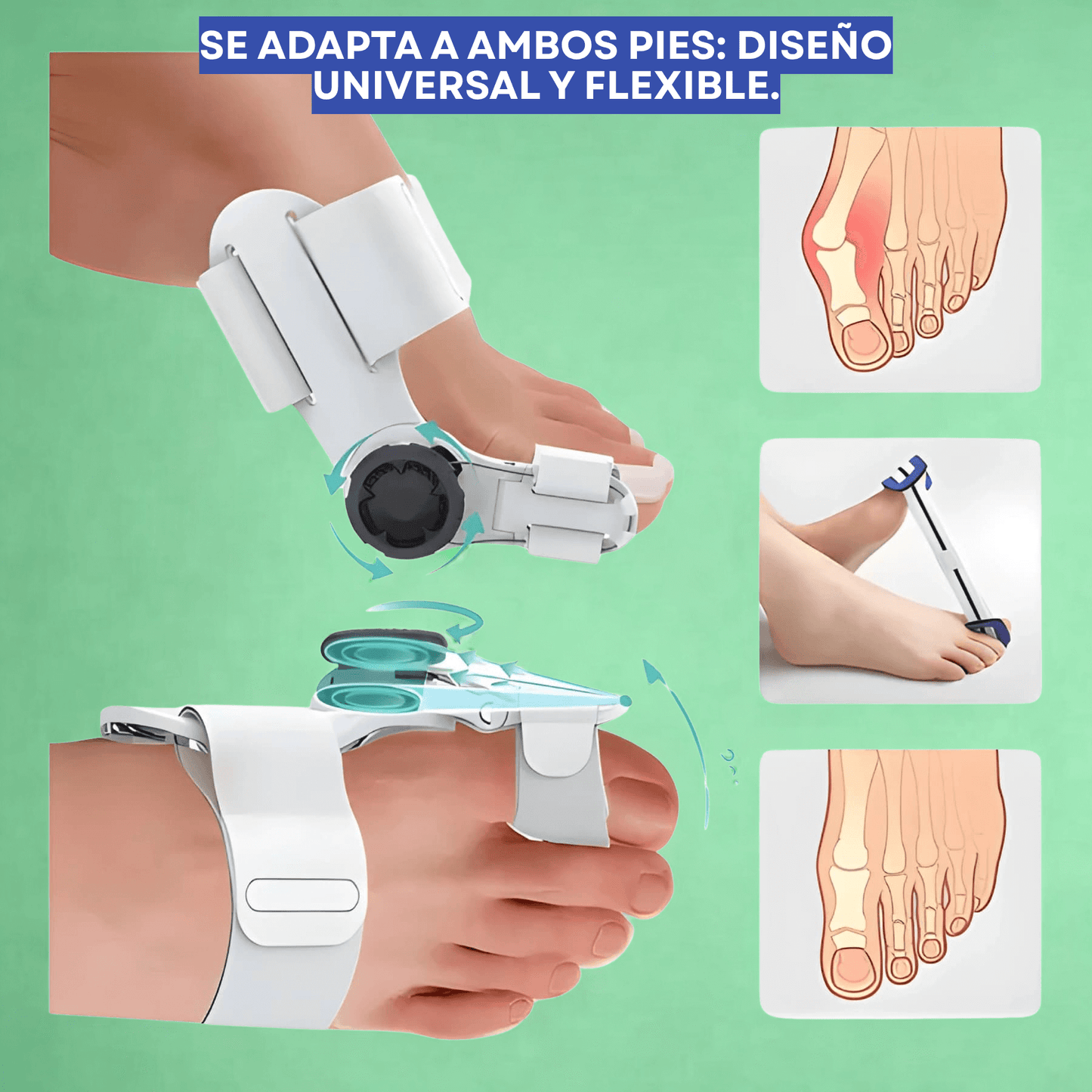 Corrector de Juanetes Ajustable | Férula